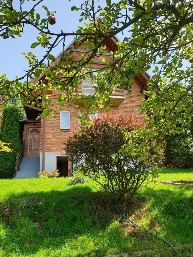 Вілла A Summer House Zarabie Domek Letniskowy Zarabie Мишлєніце Екстер'єр фото